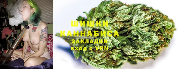 mdpv Богородск